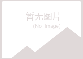 龙泉夏岚采矿有限公司